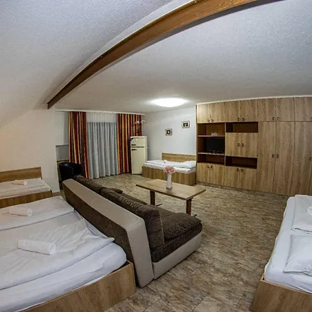 Aparthotel Apparthotel Alte Innbruecke-24Std-Self-Check In-Haustiere Willkommen 3*